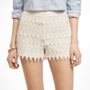 Express cream crochet stretchy cotton shorts!